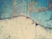 Photo related to the niche