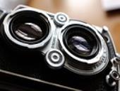 Photo related to the niche