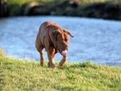 Photo related to the niche