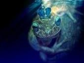 Photo related to the niche