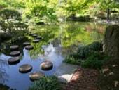 Photo related to the niche