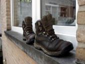 Photo related to the niche