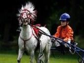 Photo related to the niche