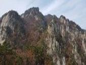Photo related to the niche