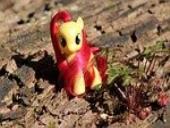 Photo related to the niche