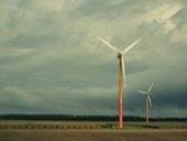 Photo related to the niche