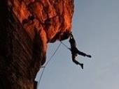 Photo related to the niche