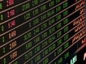 Photo related to the niche