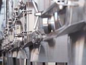 Photo related to the niche