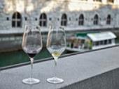 Photo related to the niche